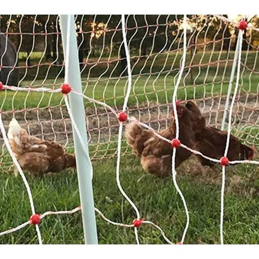 fiberglass post-poultry-netting-(1)