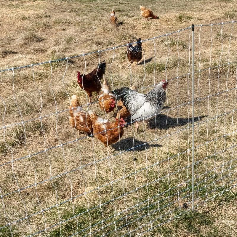 poultry fiberglass fence post