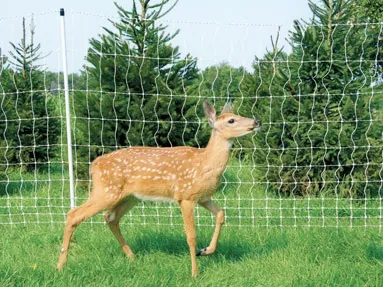 Mahsul Alanı Yaban Hayatı Caydırıcılığı için Fiberglas Çit Direkleri: Geyik Çitleri ve Yaban Hayatı Bariyerleri İçin Sağlam Destek